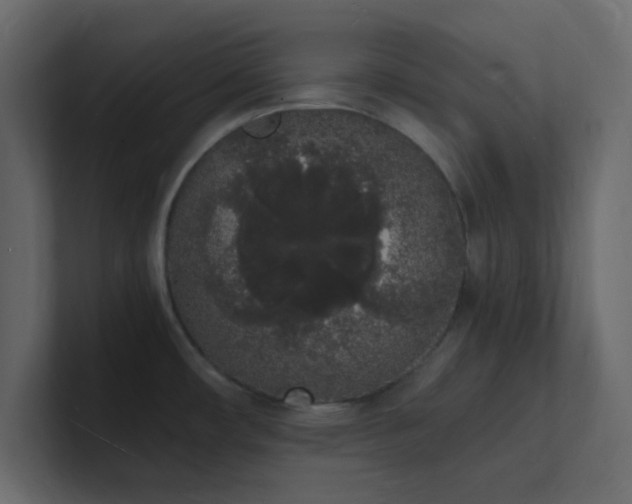 X0000101671482200807101349