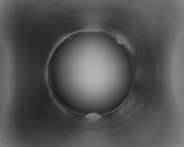 X0000101671484200807101349