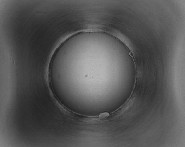 X0000101671485200807101349