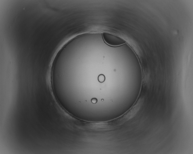X0000101671486200807101349