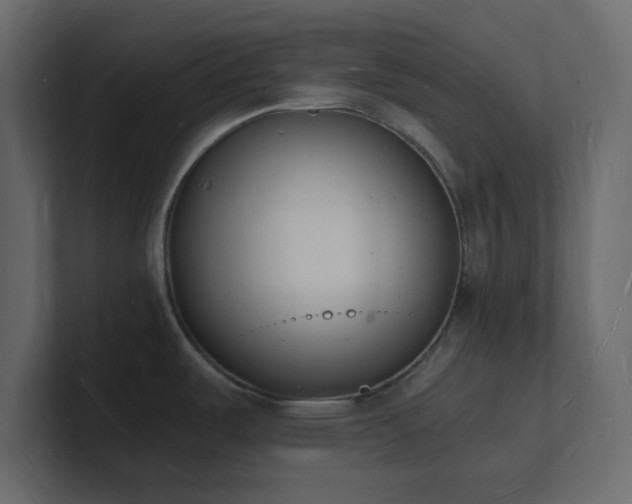 X0000101671487200807101349