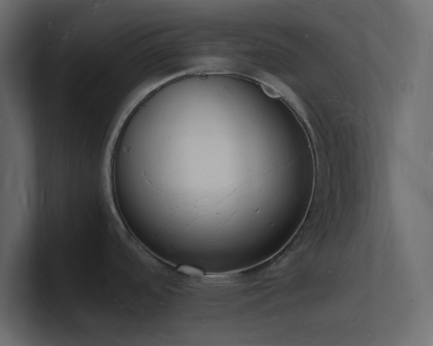 X0000101671488200807101349