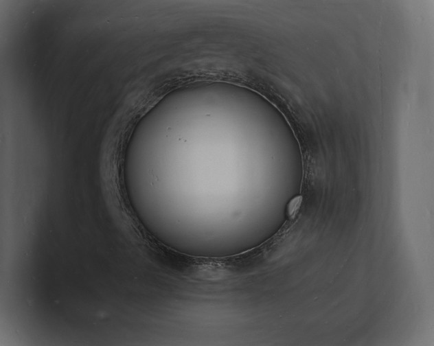 X0000101671489200807101349