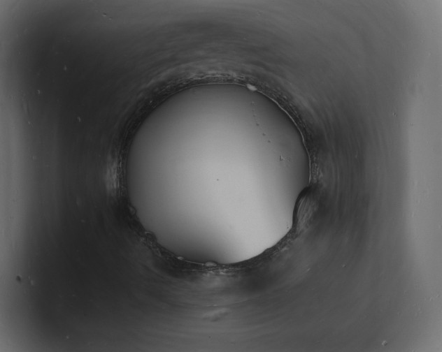 X0000101671490200807101349
