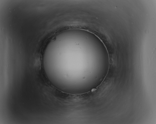 X0000101671493200807101349