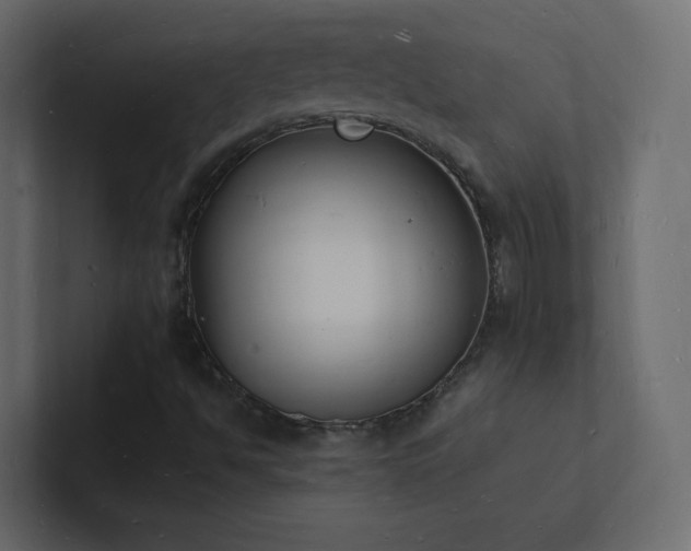 X0000101671494200807101349