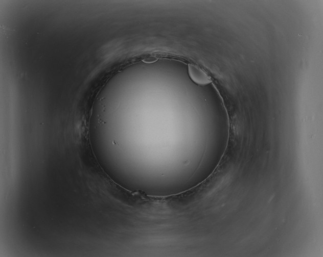 X0000101671495200807101349