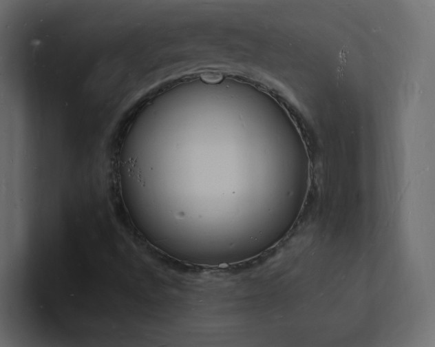 X0000101671496200807101349
