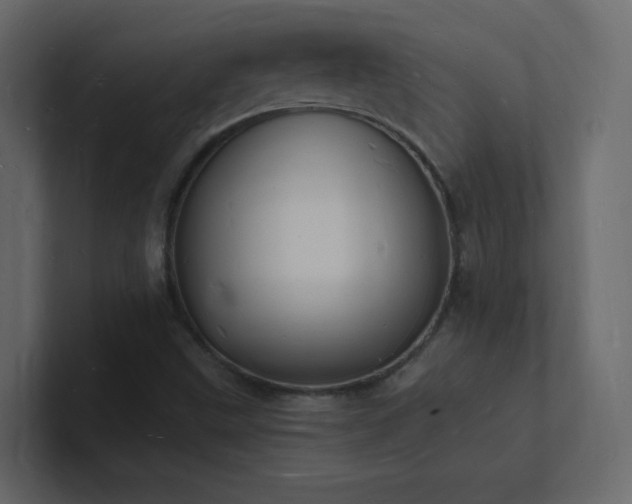 X0000101671499200807101349