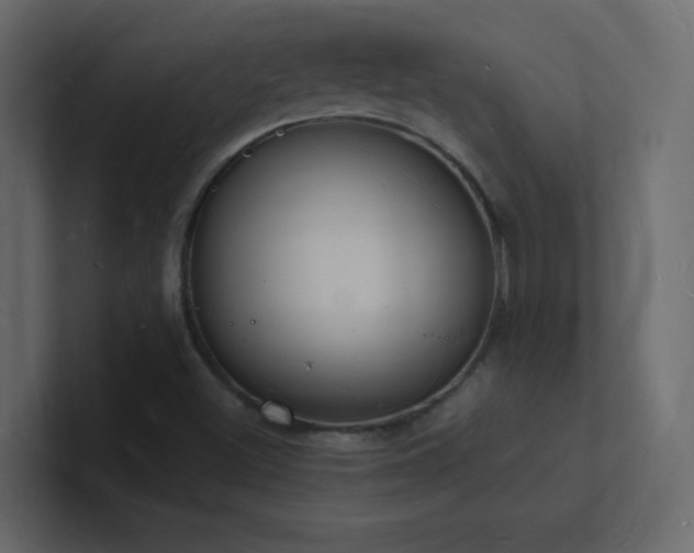 X0000101671500200807101349