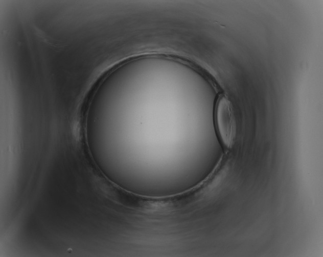 X0000101671501200807101349