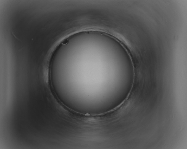 X0000101671504200807101349