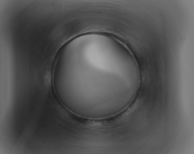 X0000101671505200807101349