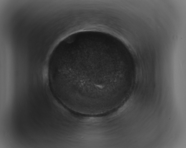 X0000101671506200807101349