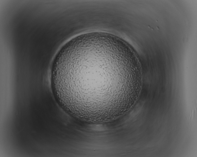 X0000101671508200807101349