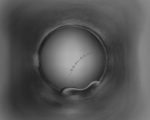 X0000101671509200807101349