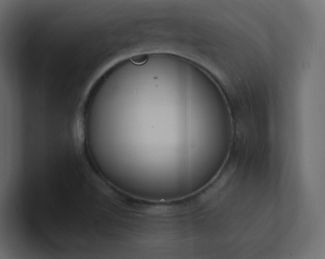 X0000101671510200807101349