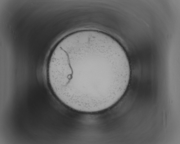 X0000101671514200807101349