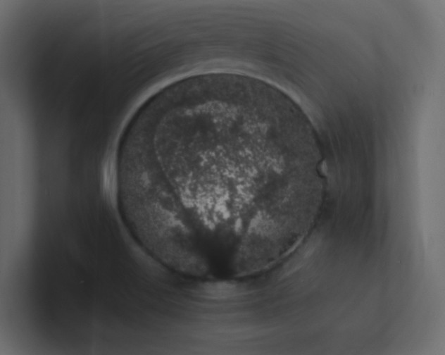 X0000101671515200807101349