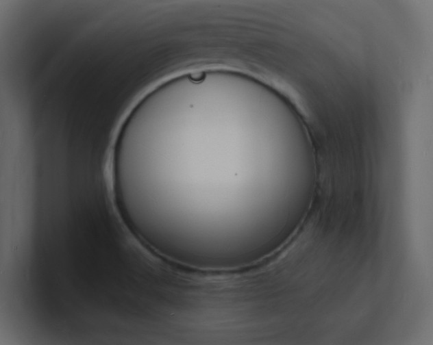 X0000101671516200807101349