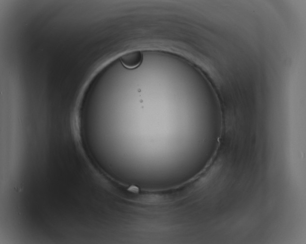 X0000101671517200807101349