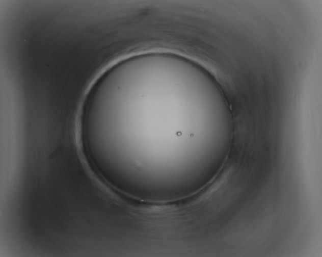 X0000101671518200807101349
