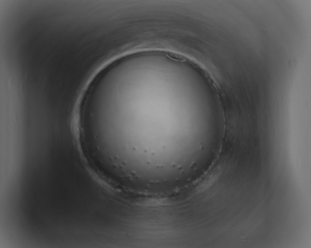 X0000101671519200807101349