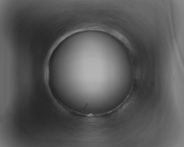 X0000101671520200807101349