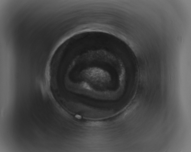 X0000101671522200807101349