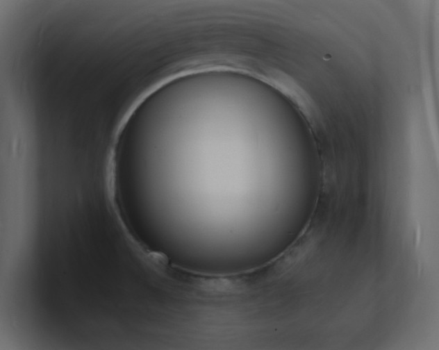 X0000101671524200807101349