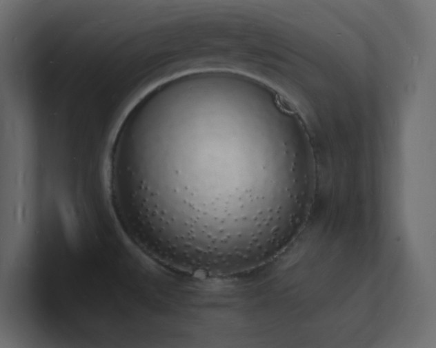 X0000101671527200807101349