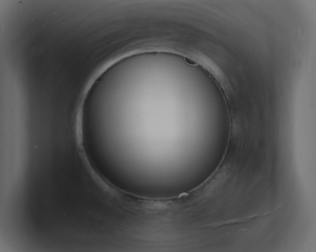 X0000101671528200807101349