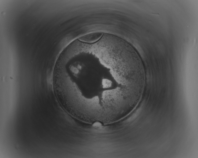 X0000101671529200807101349