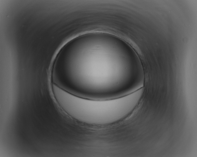 X0000101671530200807101349