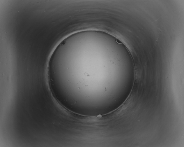 X0000101671532200807101349
