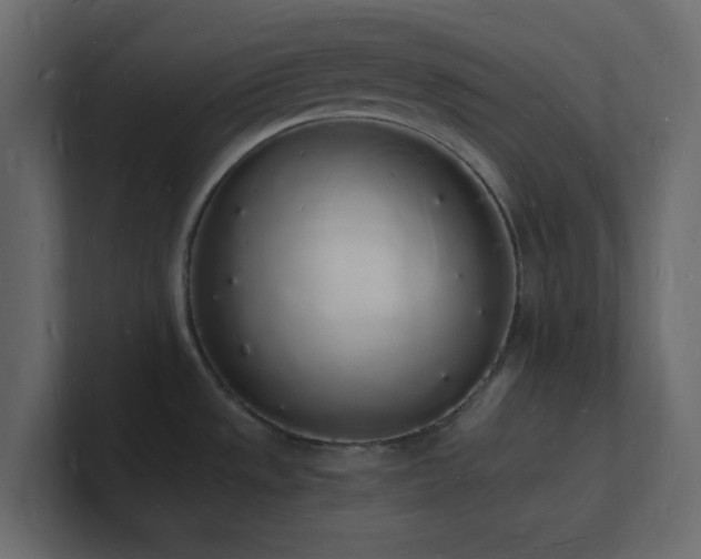 X0000101671533200807101349