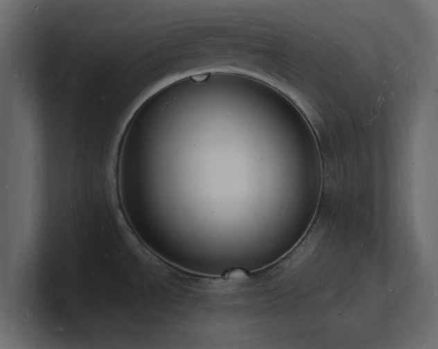 X0000101671534200807101349