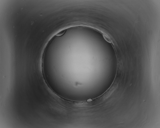 X0000101671535200807101349