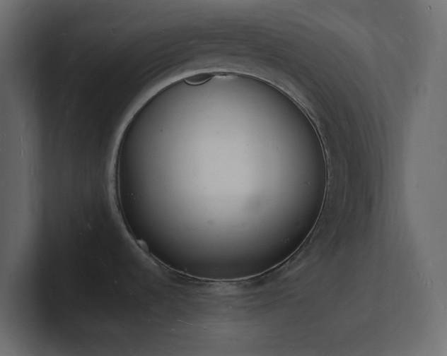 X0000101671536200807101349
