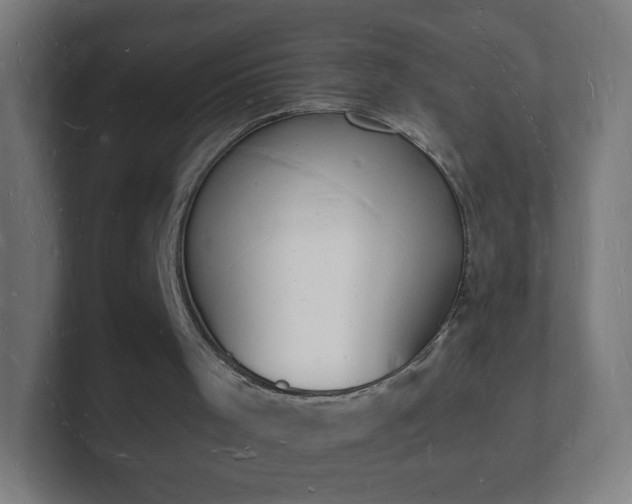 X0000101670001200807171346