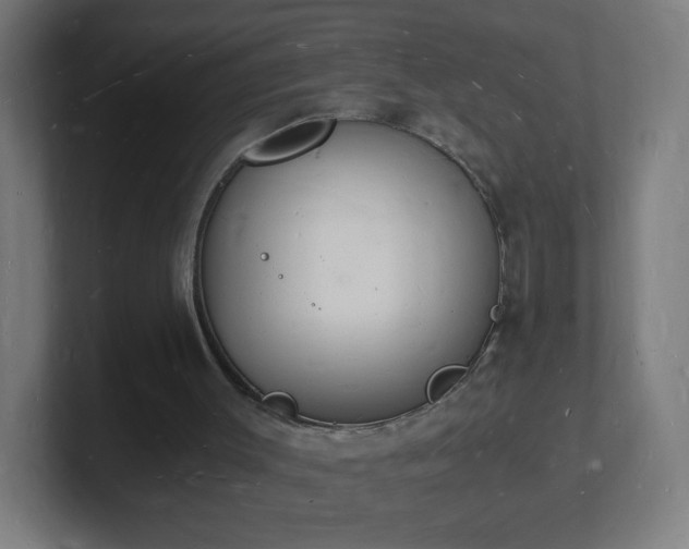 X0000101670003200807171346