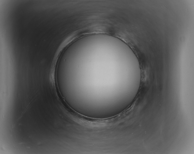 X0000101670004200807171346