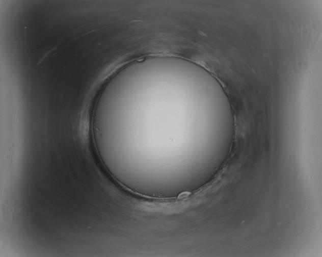 X0000101670005200807171346