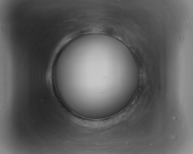 X0000101670006200807171346