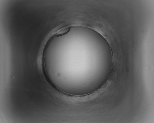 X0000101670007200807171346