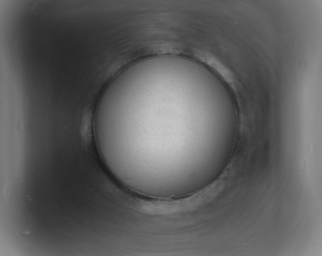 X0000101670009200807171346