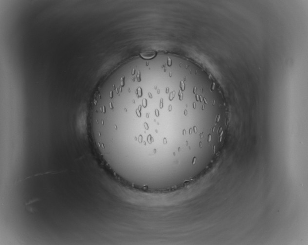 X0000101670010200807171346
