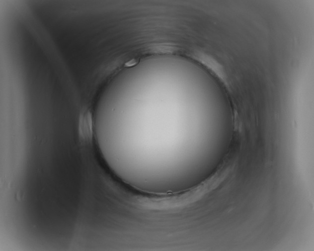 X0000101670013200807171346