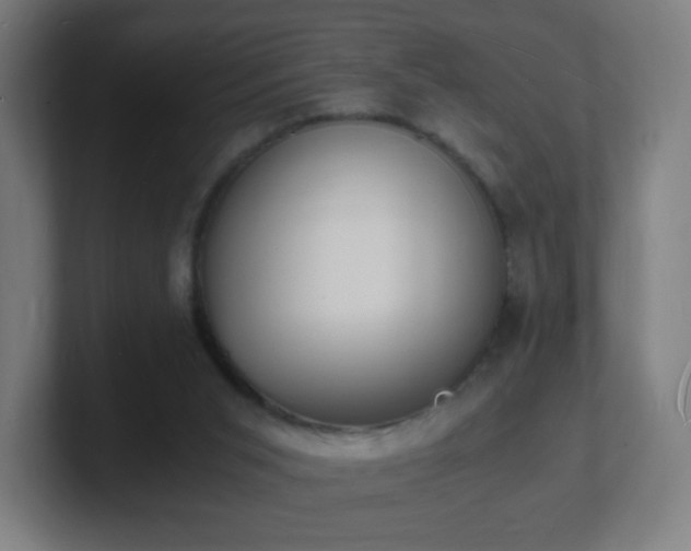 X0000101670015200807171346