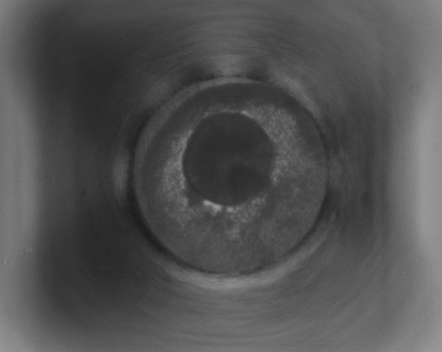 X0000101670018200807171345